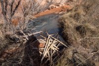 trachyte-creek-2015-27.jpg trachyte-creek-2015-27.jpg