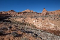 trachyte-creek-2015-28.jpg trachyte-creek-2015-28.jpg