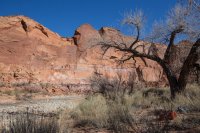 trachyte-creek-2015-30.jpg trachyte-creek-2015-30.jpg