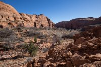 trachyte-creek-2015-39.jpg trachyte-creek-2015-39.jpg