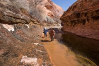 trachyte-creek-2015-40.jpg trachyte-creek-2015-40.jpg