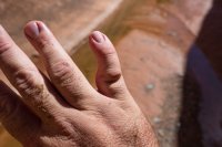 trachyte-creek-2015-42.jpg trachyte-creek-2015-42.jpg