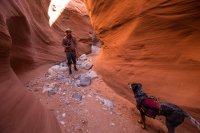 trachyte-creek-2015-49.jpg trachyte-creek-2015-49.jpg