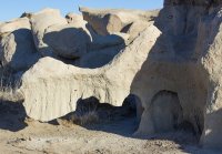 untitled (9 of 32).jpg