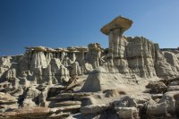 untitled (14 of 32).jpg