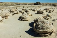 untitled (22 of 32).jpg