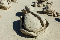 untitled (23 of 32).jpg