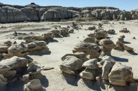 untitled (24 of 32).jpg