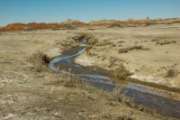 untitled (27 of 32).jpg