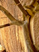 untitled (2 of 2).jpg