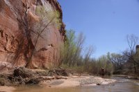 DSC03478.JPG DSC03478.JPG