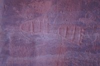 DSC03511.JPG DSC03511.JPG