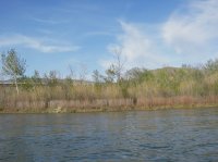 IMGP0060.JPG IMGP0060.JPG