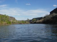 IMGP0062.JPG IMGP0062.JPG