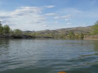 IMGP0080.JPG IMGP0080.JPG