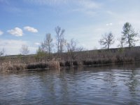 IMGP0085.JPG IMGP0085.JPG