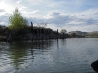 IMGP0093.JPG IMGP0093.JPG