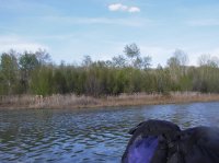 IMGP0122.JPG IMGP0122.JPG