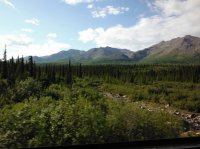 DSCF5234.JPG DSCF5234.JPG