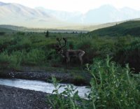 DSCF5246.JPG DSCF5246.JPG