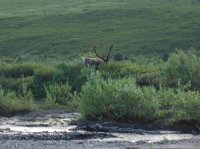 DSCF5248.JPG DSCF5248.JPG