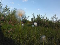 DSCF5256.JPG DSCF5256.JPG