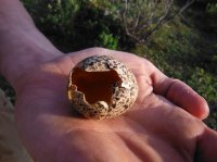 DSCF5267.JPG DSCF5267.JPG