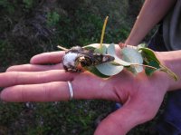 DSCF5270.JPG DSCF5270.JPG