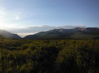 DSCF5271.JPG DSCF5271.JPG