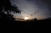 DSCF5276.JPG DSCF5276.JPG