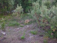 DSCF5285.JPG DSCF5285.JPG