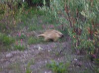 DSCF5286.JPG DSCF5286.JPG