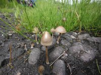 DSCF5301.JPG DSCF5301.JPG