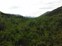 DSCF5305.JPG DSCF5305.JPG