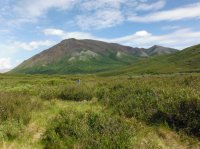 DSCF5319.JPG DSCF5319.JPG