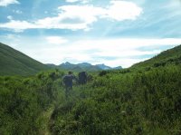 106_4115.JPG 106_4115.JPG