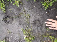 108_4199.JPG 108_4199.JPG