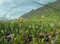 114_4293.JPG 114_4293.JPG