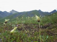 114_4328.JPG 114_4328.JPG