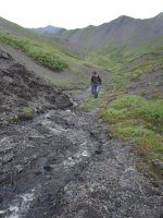 114_4341.JPG 114_4341.JPG