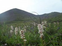 114_4428.JPG 114_4428.JPG