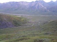 114_4456.JPG 114_4456.JPG