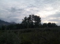 116_4477.JPG 116_4477.JPG