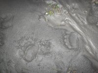 116_4488.JPG 116_4488.JPG