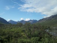 116_4494.JPG 116_4494.JPG