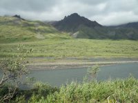 116_4495.JPG 116_4495.JPG