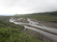 118_4529.JPG 118_4529.JPG