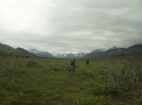 118_4536.JPG 118_4536.JPG