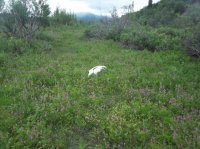 118_4579.JPG 118_4579.JPG