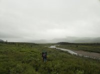 118_4585.JPG 118_4585.JPG